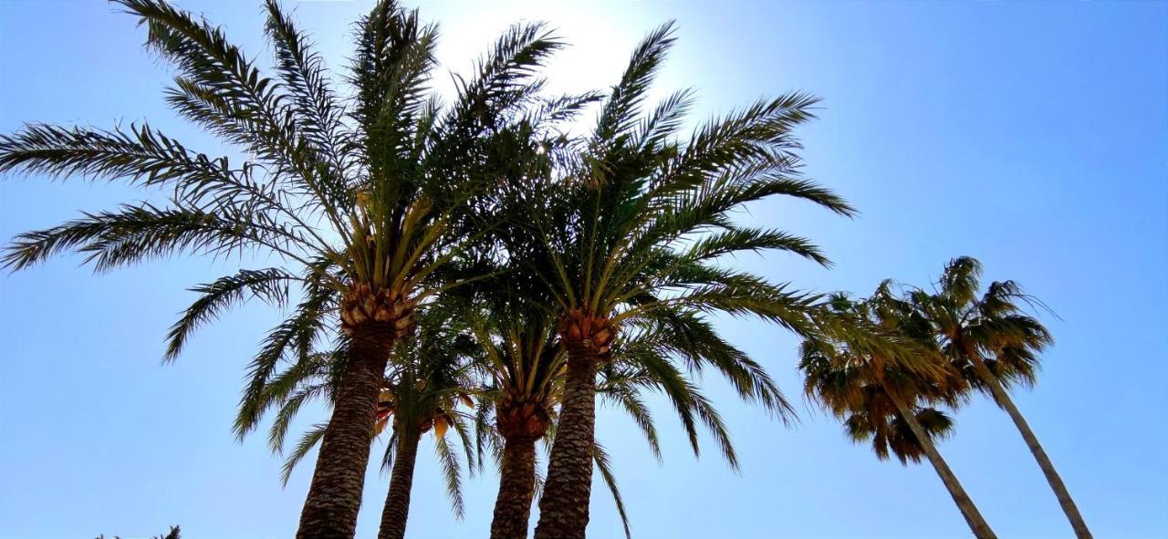 Apartamento Denia Beach By Denia Costa Экстерьер фото